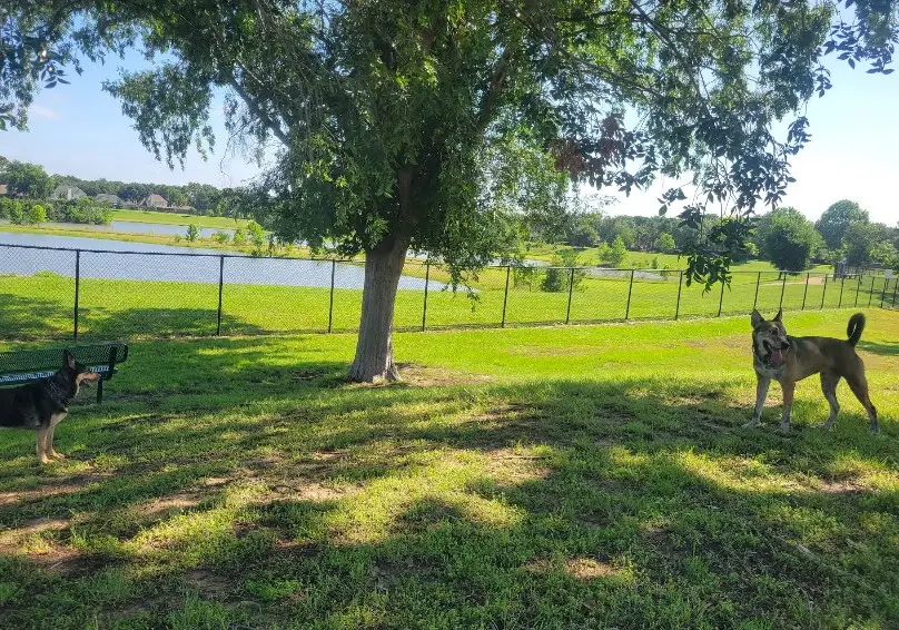 Dog run fence Houston Texas Griffin Fence installation