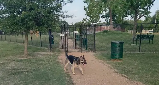 Dog run chain link fence Houston residential